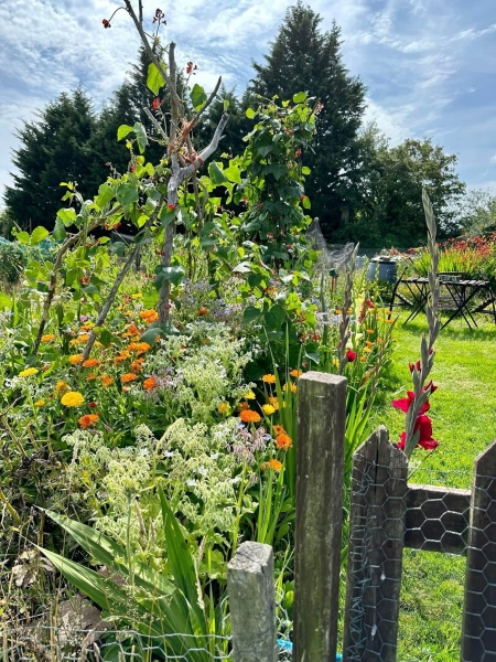 Swallowfield Allotments